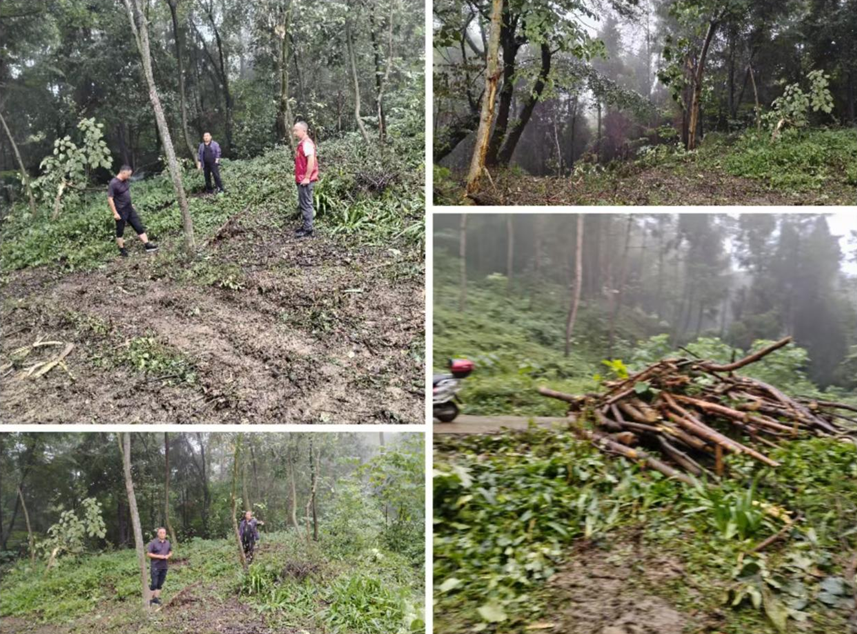 企业微信截图_20251121154148